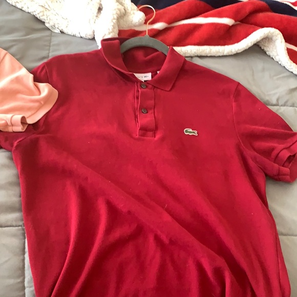 Polo Shirt - Picture 1 of 1